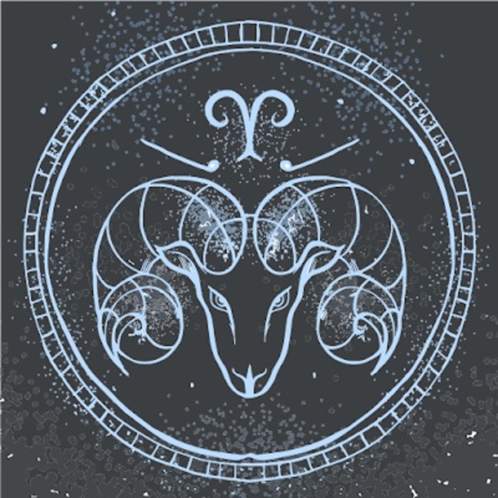 Meet your Posher, Lisneys